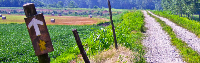 header via francigena