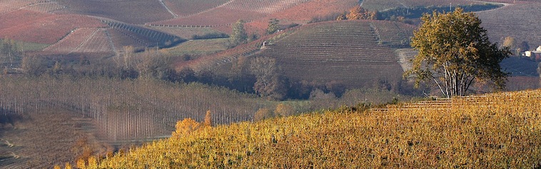 itinerario enogastro