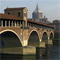 Pavia