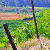 header_via_francigena