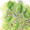 BG it vie-del-verde thumb